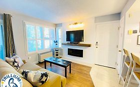 Slopeside Blue Mountain Condo - Wifi, Linens/Towels, Ski In/Out